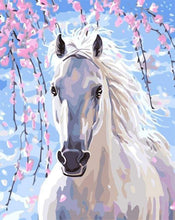 Carica l'immagine nel visualizzatore di Gallery, Dipingere con i numeri - Cavallo Bianco E Fiori