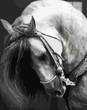 Carica l'immagine nel visualizzatore di Gallery, Dipingere con i numeri - Collo Di Cavallo