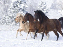 Carica l'immagine nel visualizzatore di Gallery, Dipingere con i numeri - Cavalli Nella Neve D'Inverno