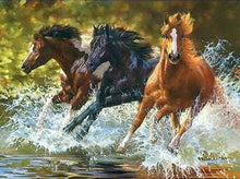 Carica l'immagine nel visualizzatore di Gallery, Dipingere con i numeri - Cavalli Della Camargue