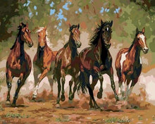 Carica l'immagine nel visualizzatore di Gallery, Dipingere con i numeri - Cavalli Nel Ranch