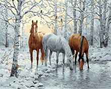 Carica l'immagine nel visualizzatore di Gallery, Dipingere con i numeri - Cavalli Nella Foresta Bianca