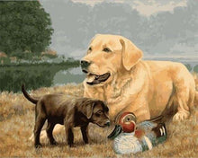 Carica l'immagine nel visualizzatore di Gallery, Dipingere con i numeri - Golden Retriever