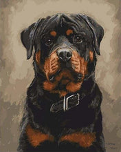 Carica l'immagine nel visualizzatore di Gallery, Dipingere con i numeri - Cane Nero