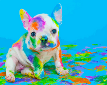 Carica l'immagine nel visualizzatore di Gallery, Dipingere con i numeri - Dipinto Del Cane