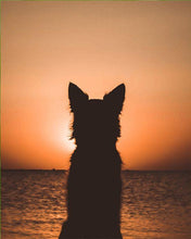Carica l'immagine nel visualizzatore di Gallery, Dipingere con i numeri - Cane E Tramonto