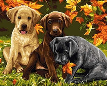 Carica l'immagine nel visualizzatore di Gallery, Dipingere con i numeri - Tre Cani