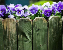 Carica l'immagine nel visualizzatore di Gallery, Dipingere con i numeri - Recinzione Viola