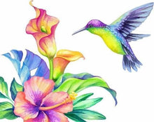 Carica l'immagine nel visualizzatore di Gallery, Dipingere con i numeri - Gamberi Colorati
