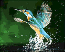Carica l'immagine nel visualizzatore di Gallery, Dipingere con i numeri - Colibrì che prende il volo