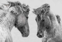 Carica l'immagine nel visualizzatore di Gallery, Dipingere con i numeri - Confronto Tra Due Cavalli