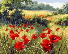 Carica l'immagine nel visualizzatore di Gallery, Dipingere con i numeri - Papaveri di campo