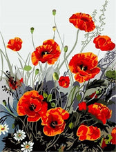 Carica l'immagine nel visualizzatore di Gallery, Dipingere con i numeri - Papavero Rosso