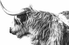 Carica l'immagine nel visualizzatore di Gallery, Dipingere con i numeri - Yak Che Attacca