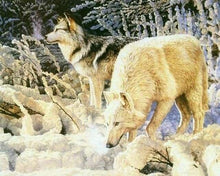 Carica l'immagine nel visualizzatore di Gallery, Dipingere con i numeri - Coppia Di Lupi Bianchi