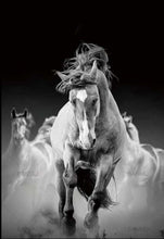 Carica l'immagine nel visualizzatore di Gallery, Dipingere con i numeri - Corsa Di Cavalli