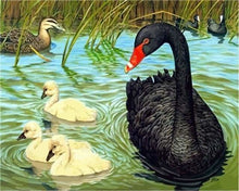 Carica l'immagine nel visualizzatore di Gallery, Dipingere con i numeri - Uccelli Nello Stagno
