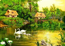 Carica l'immagine nel visualizzatore di Gallery, Dipingere con i numeri - Cigni Pacifici