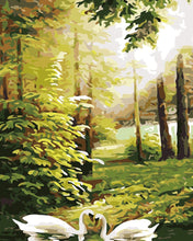 Carica l'immagine nel visualizzatore di Gallery, Dipingere con i numeri - Cigni Nella Foresta