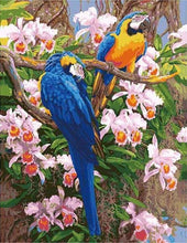 Carica l'immagine nel visualizzatore di Gallery, Dipingere con i numeri - Due Pappagalli