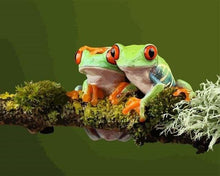 Carica l'immagine nel visualizzatore di Gallery, Dipingere con i numeri - Due Piccole Rane