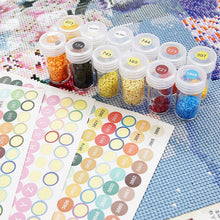 Carica l&#39;immagine nel visualizzatore di Gallery, 572 Etichette Rotonde DMC Diamond Painting