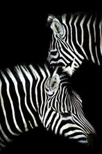 Carica l'immagine nel visualizzatore di Gallery, Dipingere con i numeri - Zebra Bianco E Nero
