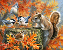 Carica l'immagine nel visualizzatore di Gallery, Dipingere con i numeri - Scoiattolo giocherellone
