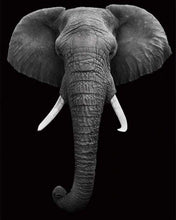 Carica l'immagine nel visualizzatore di Gallery, Dipingere con i numeri - Elefante Bianco E Nero