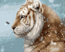 Carica l'immagine nel visualizzatore di Gallery, Dipingere con i numeri - Tigre Nella Neve