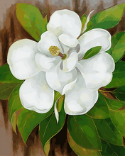 Carica l'immagine nel visualizzatore di Gallery, Dipingere con i numeri - Fiore Bianco E Foglie Verdi