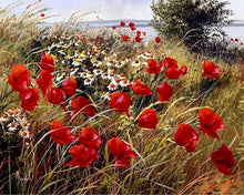 Carica l'immagine nel visualizzatore di Gallery, Dipingere con i numeri - Fiori di campo