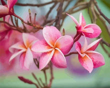 Carica l'immagine nel visualizzatore di Gallery, Dipingere con i numeri - Frangipani