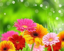 Carica l'immagine nel visualizzatore di Gallery, Dipingere con i numeri - Fiori Di Primavera