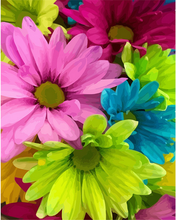 Carica l'immagine nel visualizzatore di Gallery, Dipingere con i numeri - Fiori Dai Colori Vivaci