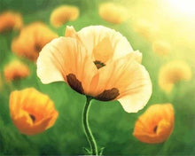 Carica l'immagine nel visualizzatore di Gallery, Dipingere con i numeri - Tulipani In Piena Fioritura
