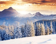 Carica l'immagine nel visualizzatore di Gallery, Dipingere con i numeri - Foresta E Neve
