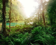 Carica l'immagine nel visualizzatore di Gallery, Dipingere con i numeri - Foresta Tropicale