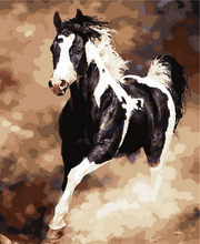 Carica l'immagine nel visualizzatore di Gallery, Dipingere con i numeri - Grande Cavallo In Bianco E Nero