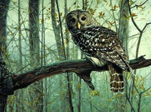 Carica l'immagine nel visualizzatore di Gallery, Dipingere con i numeri - Gufo