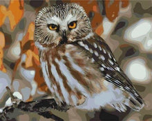 Carica l'immagine nel visualizzatore di Gallery, Dipingere con i numeri - Gufo Grigio