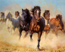 Carica l'immagine nel visualizzatore di Gallery, Dipingere con i numeri - Mandria Di Cavalli
