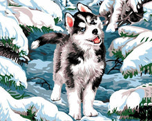Carica l'immagine nel visualizzatore di Gallery, Dipingere con i numeri - Husky nella neve