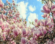 Carica l'immagine nel visualizzatore di Gallery, Dipingere con i numeri - Magnolie