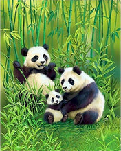 Carica l'immagine nel visualizzatore di Gallery, Dipingere con i numeri - La famiglia Panda