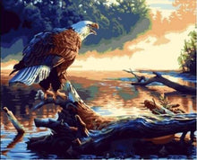 Carica l'immagine nel visualizzatore di Gallery, Dipingere con i numeri - Richiamo D'Aquila
