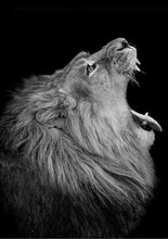 Carica l'immagine nel visualizzatore di Gallery, Dipingere con i numeri - Profilo Del Leone