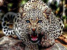 Carica l'immagine nel visualizzatore di Gallery, Dipingere con i numeri - Ruggito Della Mamma Leopardo