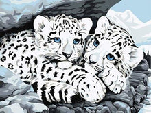 Carica l'immagine nel visualizzatore di Gallery, Dipingere con i numeri - Leopardi Bianchi