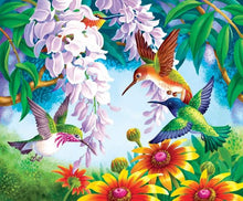 Carica l'immagine nel visualizzatore di Gallery, Dipingere con i numeri - Uccelli E Fiori